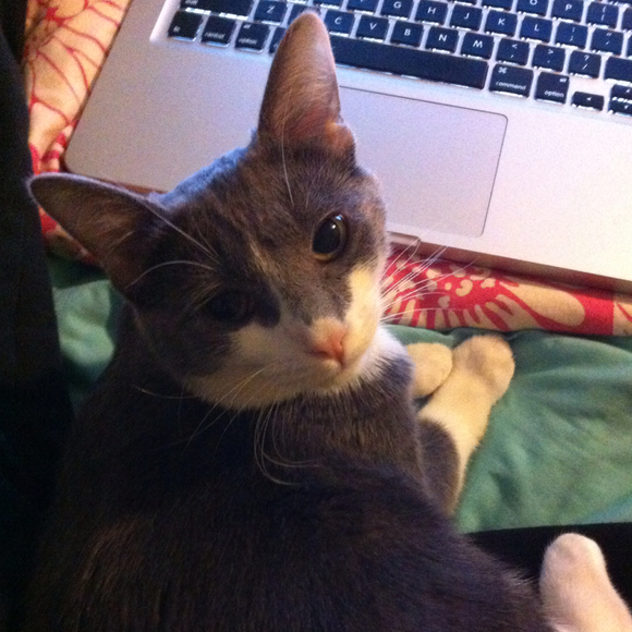 Megan Durelli - Poshmark Profile Picture of Megan Durelli (@megandurelli) on Poshmark