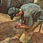 Profile Picture of Patrick jacoob hinkel (@jacoob_farrierservice) on Instagram