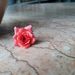 Profile Picture of hejal patel (@hejalpatel) on Pinterest
