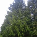 Profile Picture of Darek Koperniak (@Darek-Koperniak) on Facebook