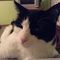 Profile Picture of Judy Kraszczyk (@kraszczyk.judy) on Facebook