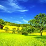 Profile Picture of Ben Fleming (@bri.elleeee) on Instagram