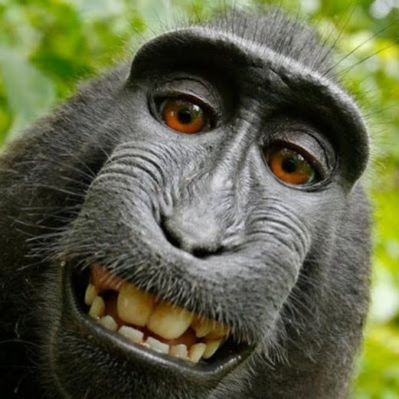 Profile Picture of Jacob Loubert (@jacobloubert) on Poshmark