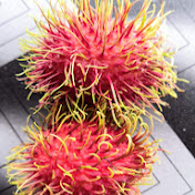 Profile Picture of Alex Keo (@alexkeo7489) on Youtube