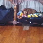 Profile Picture of Scott Boose (@scottboose8325) on Youtube