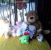 Profile Picture of Rafael Arancibia (@rafael.arancibia.927) on Facebook
