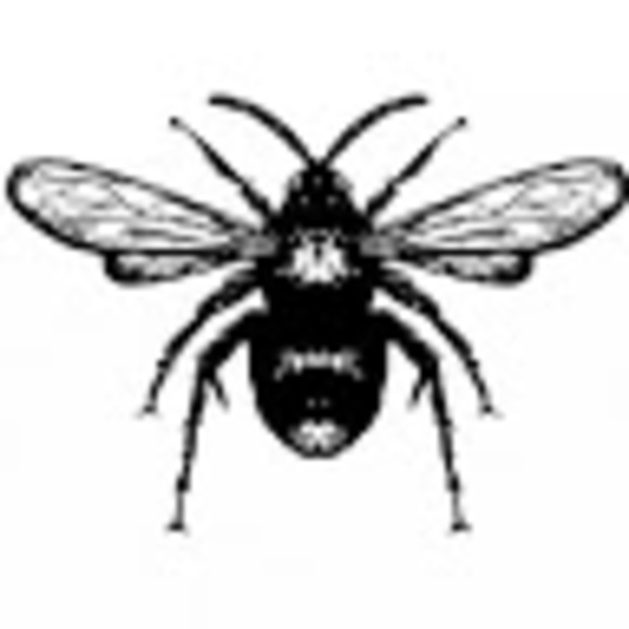 Profile Picture of Beverly Traylor (@beverlytraylor) on Poshmark