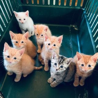 Profile Picture of Leo W Davenport (@leo.w.davenport) on Facebook