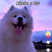 Profile Picture of Antonia Quintero (@user-ol9ou5wk4f) on Youtube