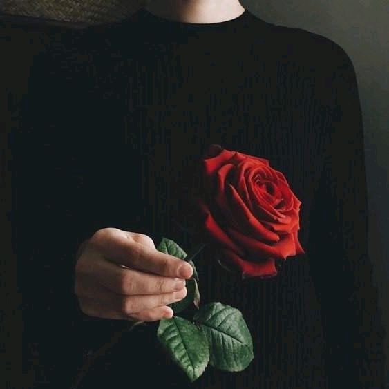 Profile Picture of Александр Голубев (@alexandergolube2) on Tiktok