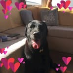 Profile Picture of George Clark (@George-Clark) on Facebook