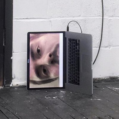 Profile Picture of Leon Eckert (@eckert_leon) on Twitter