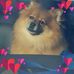 Profile Picture of Patty A Pace (@pattya.pace) on Facebook