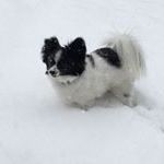 Profile Picture of Marilyn Jo Cipolla (@marilynjocipolla) on Instagram