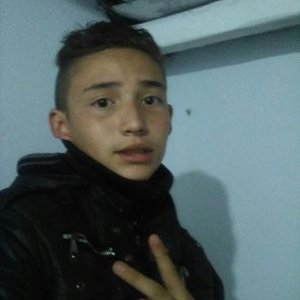 Profile Picture of Gabriel Echeverri (@Gabriel15040918) on Twitter