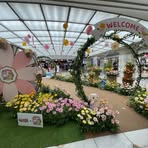 Profile Picture of Lin Yau (@Lin-Yau) on Facebook