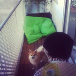 Profile Picture of Jesse Mackay (@gomermoti) on Instagram