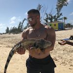 Profile Picture of Rizo Industries (@alejandrorizo_t) on Instagram