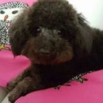 Profile Picture of Loretta Chung (@lorettachung) on Instagram