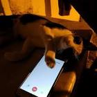 Profile Picture of   Farman Malik... (@farmanmalik89893) on Tiktok