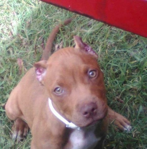 Zayden Bethune - Poshmark Profile Picture of Zayden Bethune (@zaydenbethune11) on Poshmark