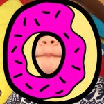 Profile Picture of Max Ernest Morrison (@baby.ernie) on Instagram