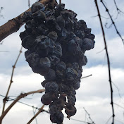 Profile Picture of Rick Chung (@rickchung8436) on Youtube