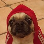 Profile Picture of Michał Bernatowicz (@_michalbernatowicz) on Instagram