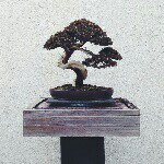 Profile Picture of Joseph 