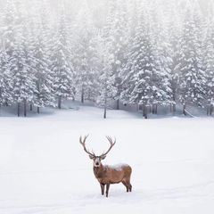 Profile Picture of paulslatter (@paulslatter) on Tiktok