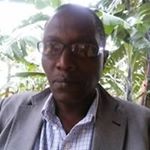 Profile Picture of Gilbert Burchard Baisi (@gilbert_burchard) on Instagram