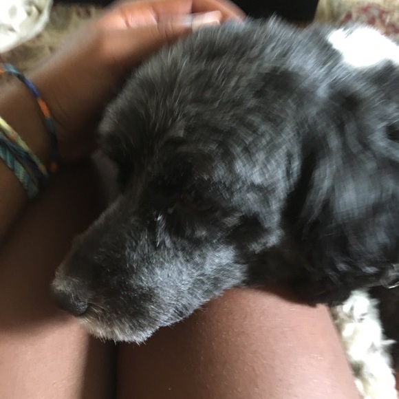 Profile Picture of Taylor Alphonso (@aultragirl) on Poshmark