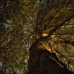 Profile Picture of David (@broken_frisk) on Instagram