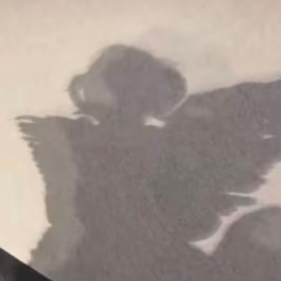 Profile Picture of jasonsproofss (@jasonsproofss) on Tiktok