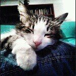 Profile Picture of Andrea Genovesi (@andreagenovesi84) on Instagram