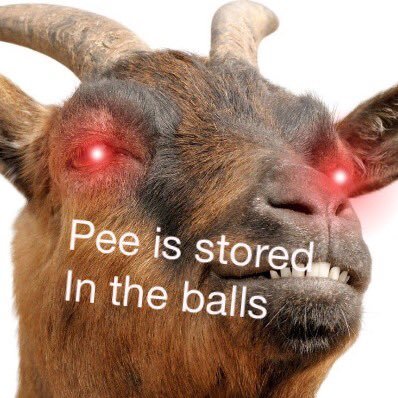 Profile Picture of Patrick Neeley (@patrick_neeley) on Twitter