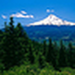 Profile Picture of Adam Pdx (@adam pdx) on Flickr