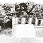 Alex wallis - Instagram Profile Picture of Alex wallis (@alexwallisbmx) on Instagram