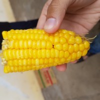 Profile Picture of Khanh Tran (@khanh-tran-240) on Quora