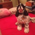 Profile Picture of Debbie Frahm Warford (@frahmwarford) on Instagram