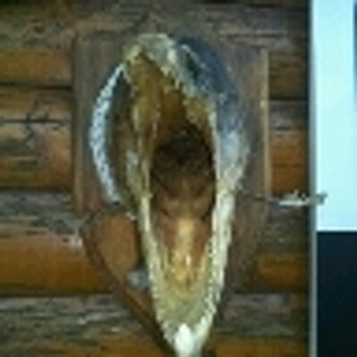 Profile Picture of Curt Leonhardt (@Leo291) on Twitter