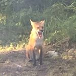 Profile Picture of Jesse Windels (@jessewindels) on Instagram