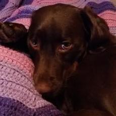 Profile Picture of Tamara Jaramillo (@TamaraTmjo) on Twitter