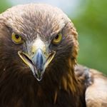 Profile Picture of Edward Tudor (@edward.tudor.336) on Instagram