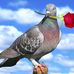 Profile Picture of Adam Polakowski (@adam.polakowski.338) on Facebook