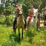 Profile Picture of luis davi viera alvis (@luisdavivi) on Instagram
