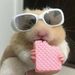 Profile Picture of daniela jacobo (@danypoke11) on Pinterest