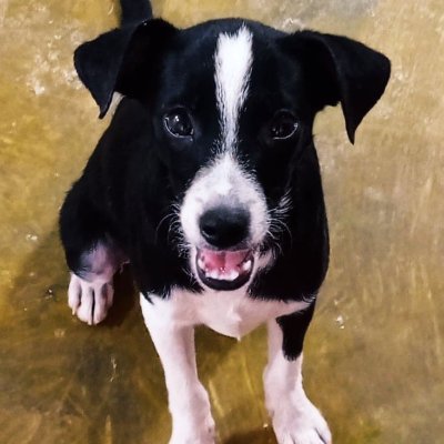 Profile Picture of Reny David (@RenyDavid7) on Twitter