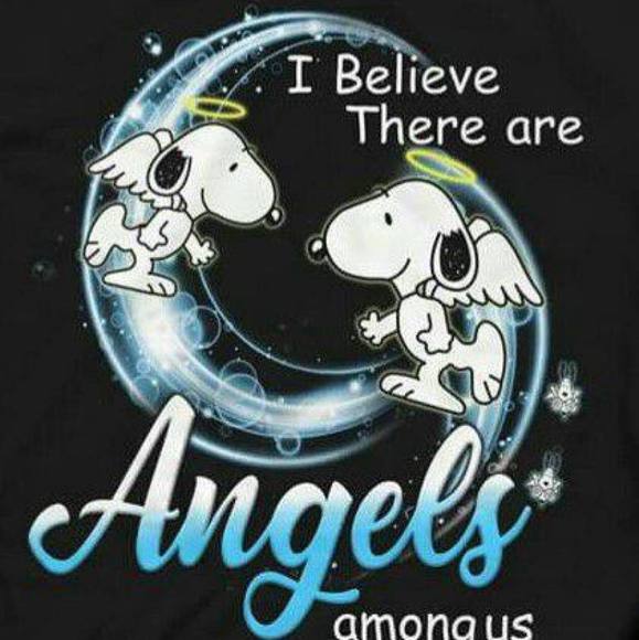 Profile Picture of Karen Delfavero (@karendelfavero) on Poshmark