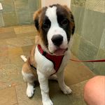 Profile Picture of Brian Tilton (@briantilton14) on Instagram